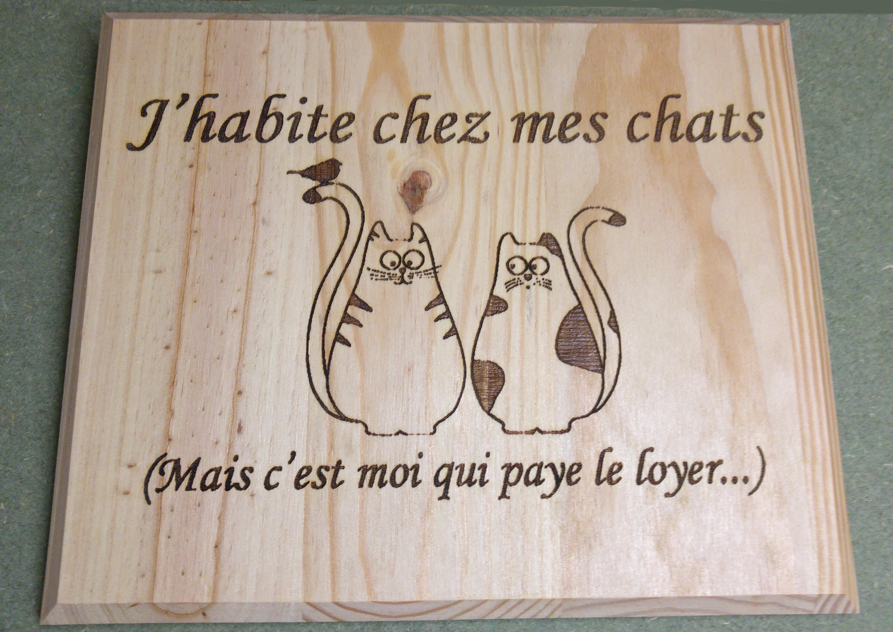 Tableau en Bois Gravé Humoristique - Personnalisable