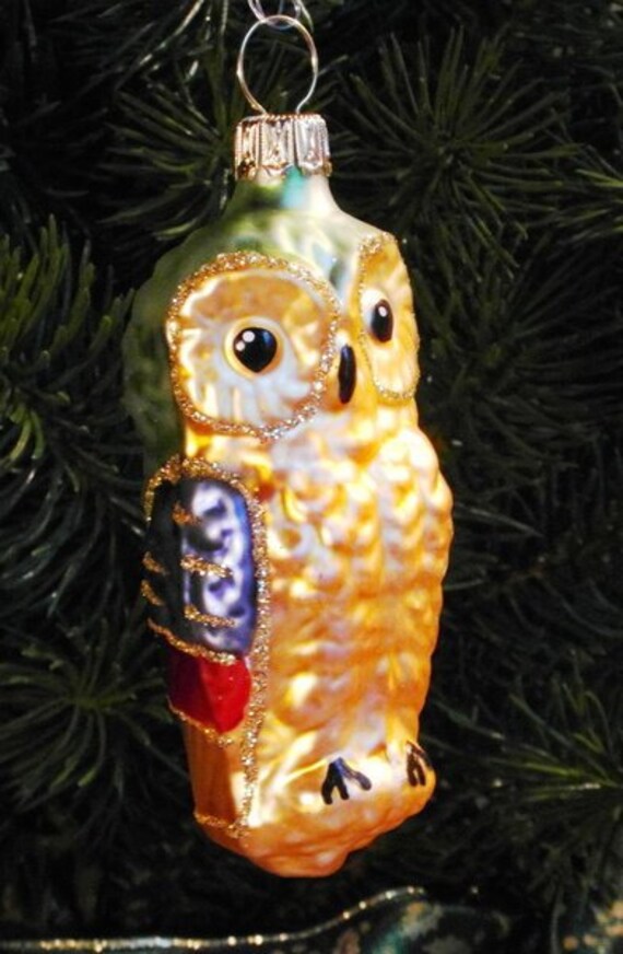 Bunte Eule Aus Glas Weihnachtsdekoration Christbaumschmuck Aus Lauscha Advent
