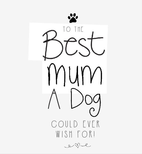 To the best mum a dog could ever wish for Mother's Day Greeting Card