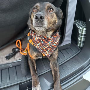 Large pet bandanas for cat or dog, over the collar pet bandana, large size bandana