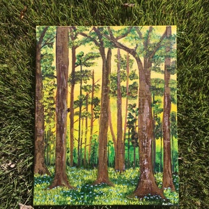 Into the Woods