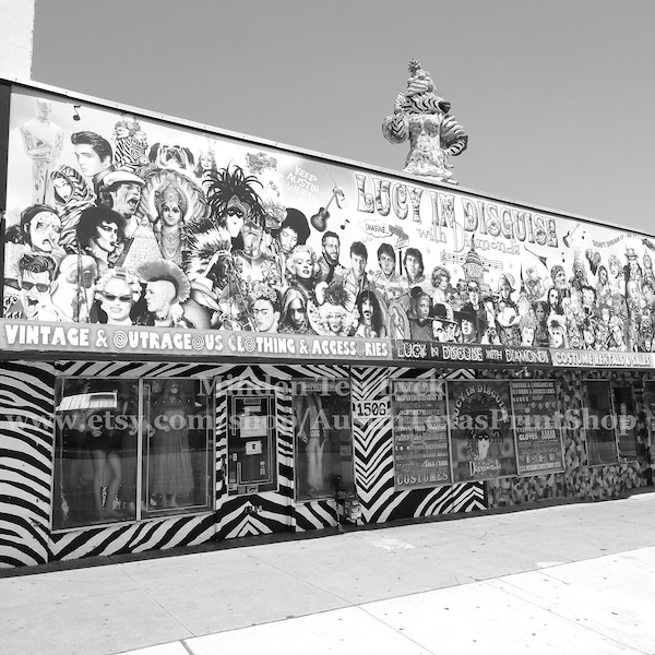 Lucy in Disguise with Diamonds Photo Print, Black and White Austin Photography