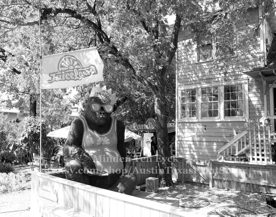 Photo Print Juiceland Austin Photography Juiceland Gorilla Etsy