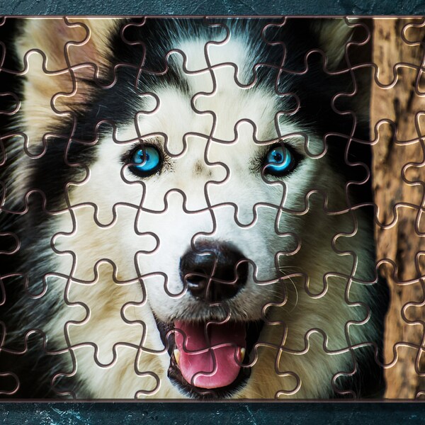 Husky Dog Puzzle Etsy
