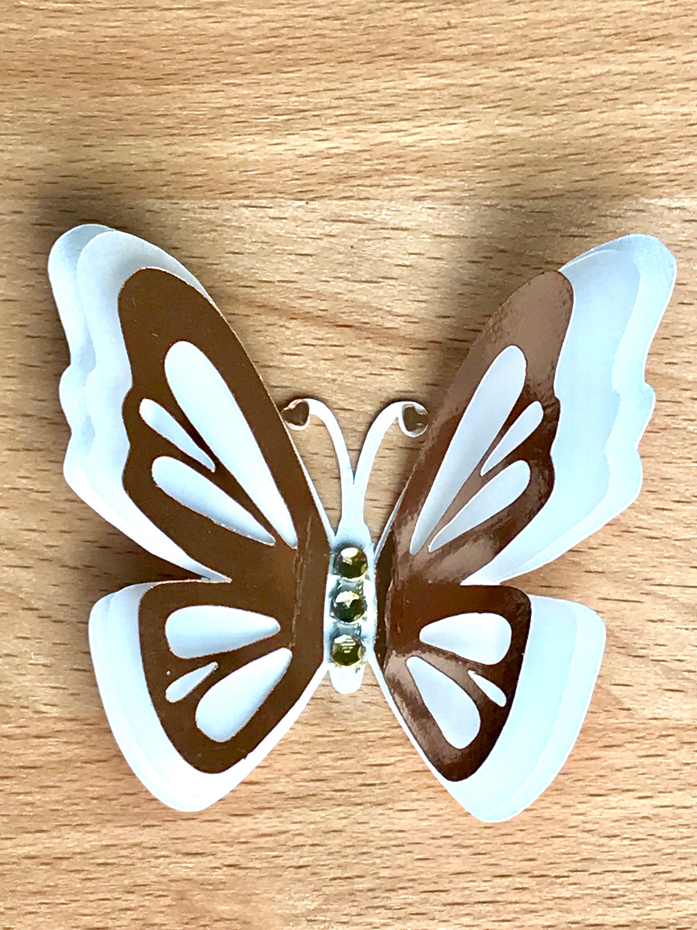 Set Of 6 Butterfly Wedding Butterfly Spring Party Butterfly
