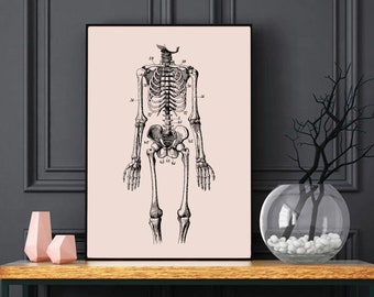 Skeleton Patent Sketch Print, Medical Skeleton Poster, Abstract Halloween Wall Art, Skeleton Instant Download Printable Patent Decor