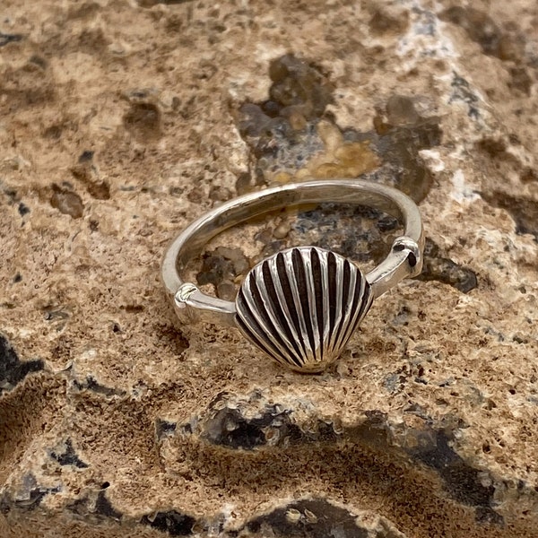 Engraved Shell - Etsy