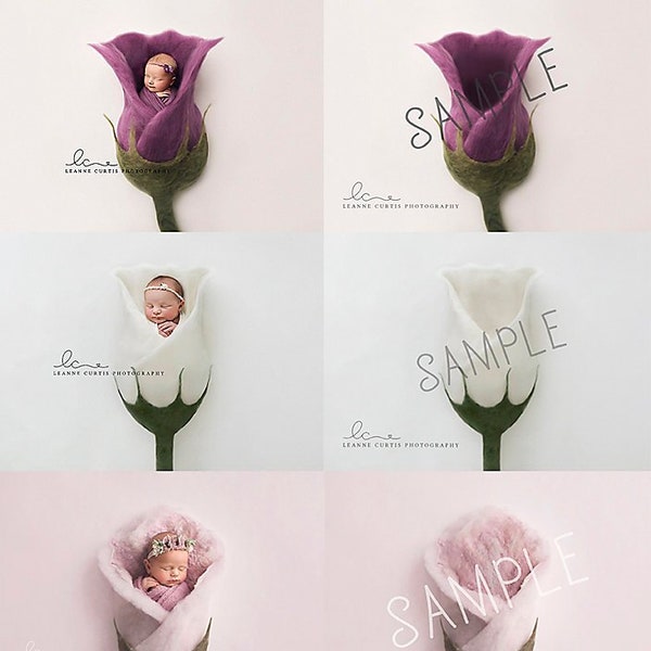 Newborn Photography Digital Backdrop Background Collection Instant Download Flower VALUE 3 PACK - INCLUDES  Pink and White Roses and Tulip