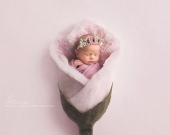 Newborn Photography Digital Backdrop Background Collection Instant Download Pink Rose Bud Flower