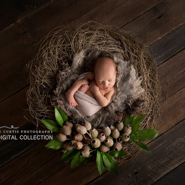 Newborn Photography Digital Backdrop Background Collection Instant Download Gumnut Nest