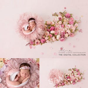 Newborn Photography Digital Backdrop Background Collection Instant Download Peachy Floral Nest