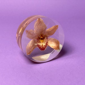 Vintage orchid paperweight made of acrylic glass | Dry flower display | Blossom in Plexiglas® Peiskar Birkenfeld | 1970s | Ref. 2246