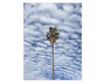 Palm Tree Fantasy Vacation Postcard Set