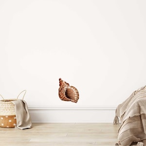 Könnte beinhalten: Eine braune Muschel vor weißem Hintergrund. Die Muschel hat eine spiralförmige Form und eine strukturierte Oberfläche.