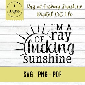 May include: Black and white digital cut file design featuring a sun with rays and the text "I'M A RAY OF (F***ING) SUNSHINE".