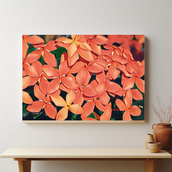 Red Ixora flowers canvas print, Tropical color wall art, Landscape photography nature print, Photography décor nature wall art print