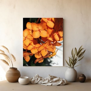 Orange Ixora flowers canvas print, Tropical color wall art, Landscape photography nature print, Vibrant photo décor nature wall art print