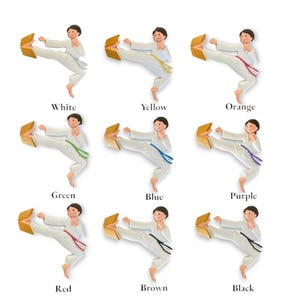 May include: A set of nine karate ornaments, each depicting a person in a white karate uniform performing a kick. Each ornament features a different colored belt, representing the different belt ranks in karate: white, yellow, orange, green, blue, purple, red, brown, and black.