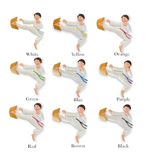 May include: A set of nine karate ornaments, each depicting a person in a white karate uniform performing a kick. The ornaments are arranged in a row, with each ornament representing a different belt color: white, yellow, orange, green, blue, purple, red, brown, and black.