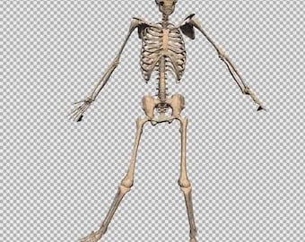 Animated Dancing Skeleton Twitch Emote: Halloween Stream Emoji (Digital Download)