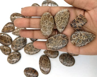 Natural Fossil Coral Cabochons, Rare Organic Gemstones for Statement Pendants, Rings, Earrings and Creative Jewelry, Handmade Fossil Stone.