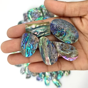 Fancy Abalone Shell Cabochon für die Schmuckherstellung