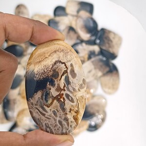 May include: A close-up of a brown and black agate cabochon with a unique pattern. The cabochon is oval shaped and has a smooth, polished surface.