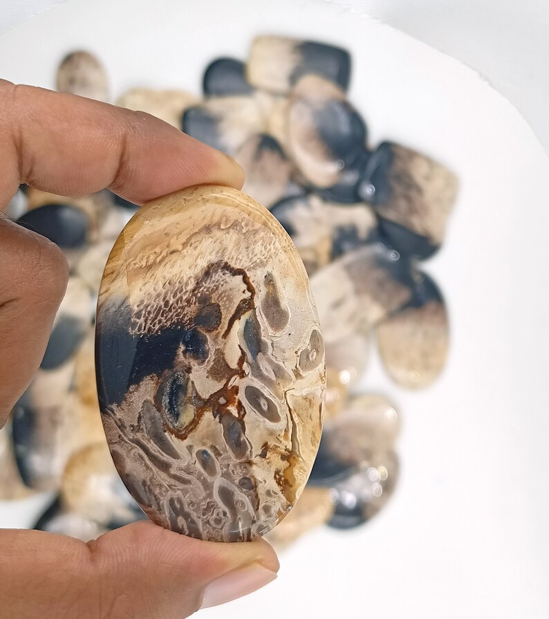 May include: A close-up of a brown and black agate cabochon with a unique pattern. The cabochon is oval shaped and has a smooth, polished surface.