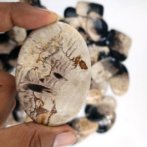 May include: A close-up of a white, brown, and black agate cabochon with a unique pattern. The cabochon is oval-shaped and has a smooth, polished surface.