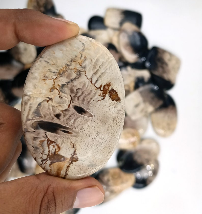 May include: A close-up of a white, brown, and black agate cabochon with a unique pattern. The cabochon is oval-shaped and has a smooth, polished surface.