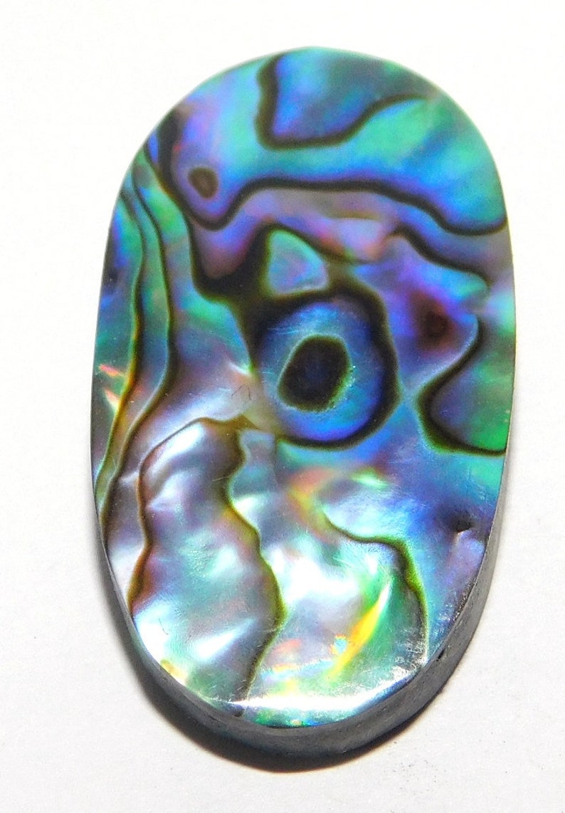Paua abalone Shell fantastic Oval Pear Fancy Shape Gemstone Natural Paua Shell Loose Gemstones Attractive Paua abalone Shell Cabochon Lot