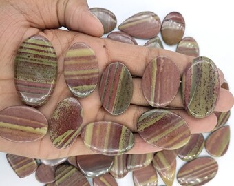 Natural Brown Jasper Cabochons, Mixed Shapes, Wholesale Lot for Jewelry Making