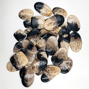 May include: A collection of 20+ black and brown fossilized stone cabochons. The stones are various shapes and sizes, with a mix of oval, teardrop, and square shapes. The stones have a natural, organic look.