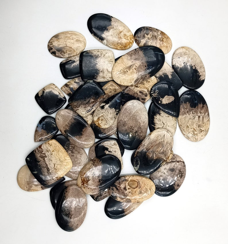 May include: A collection of 20+ black and brown fossilized stone cabochons. The stones are various shapes and sizes, with a mix of oval, teardrop, and square shapes. The stones have a natural, organic look.