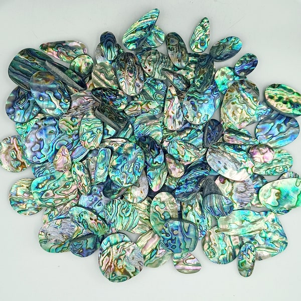 Beautiful Paua Abalone Shell Natural Cabochon Lot | Paua Abalone Shell Gemstone Lot | Natural Paua Abalone Loose Stone For Jewelry Making