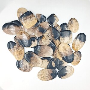 May include: A collection of 18 irregularly shaped, polished, black and brown agate cabochons. The stones have a natural, organic pattern and are ready to be set in jewelry.