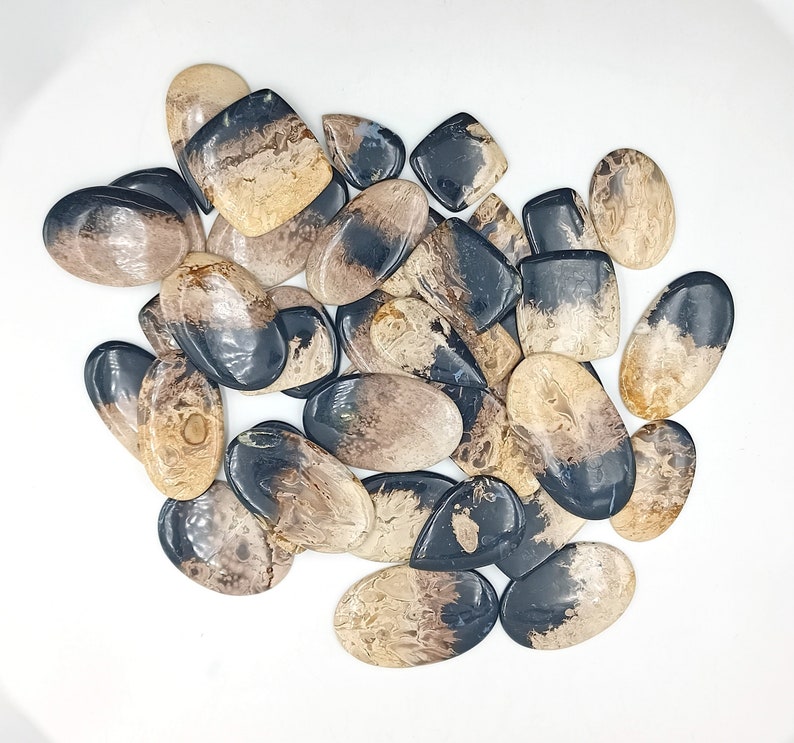 May include: A collection of 18 irregularly shaped, polished, black and brown agate cabochons. The stones have a natural, organic pattern and are ready to be set in jewelry.
