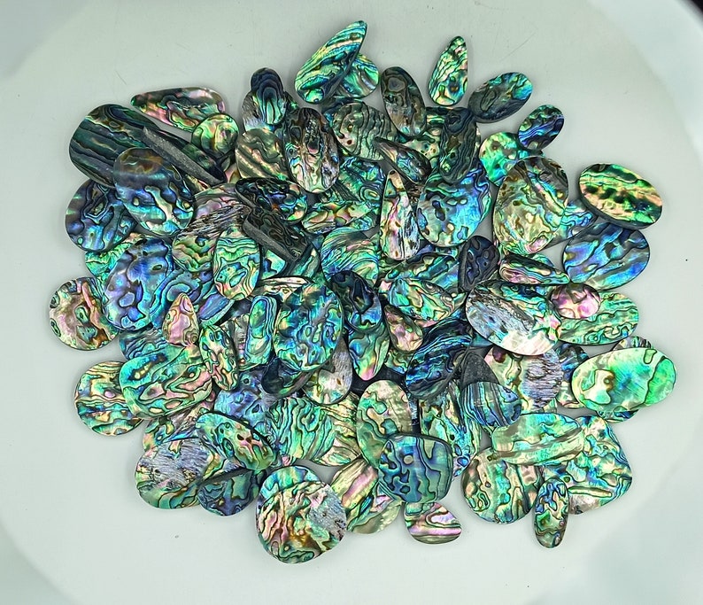 Beautiful Paua Abalone Shell Natural Cabochon Lot Paua Abalone Shell Gemstone Lot Natural Paua Abalone Loose Stone For Jewelry Making image 4