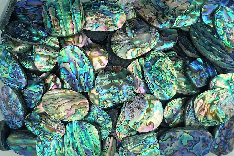 Beautiful Paua Abalone Shell Natural Cabochon Lot Paua Abalone Shell Gemstone Lot Natural Paua Abalone Loose Stone For Jewelry Making image 3