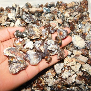 Puede incluir: Una colección de piedras de ágata marrón, blanca y gris. Las piedras son de varios tamaños y formas, y algunas tienen una calidad translúcida.