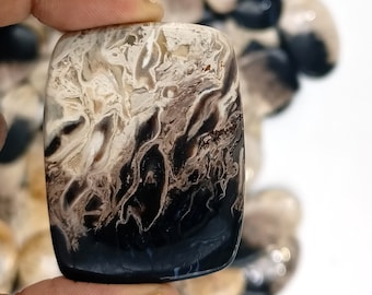 Natural Palm Root Agate Cabochon Lot: Loose Gemstones for Jewelry Making, Handcraft Agate Pendant Size Stone Wholesale Lot 72493