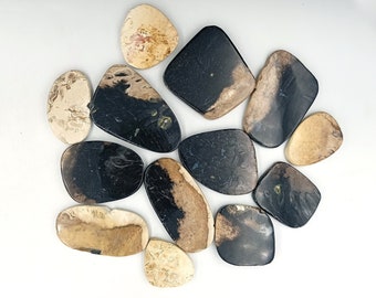 Seltener PalmWurzel Achat Cabochon, ausgefallener handgemachter loser Edelstein für die Herstellung von Uniqeu Schmuck, glatt poliertes Cabochon Großhandelslot.
