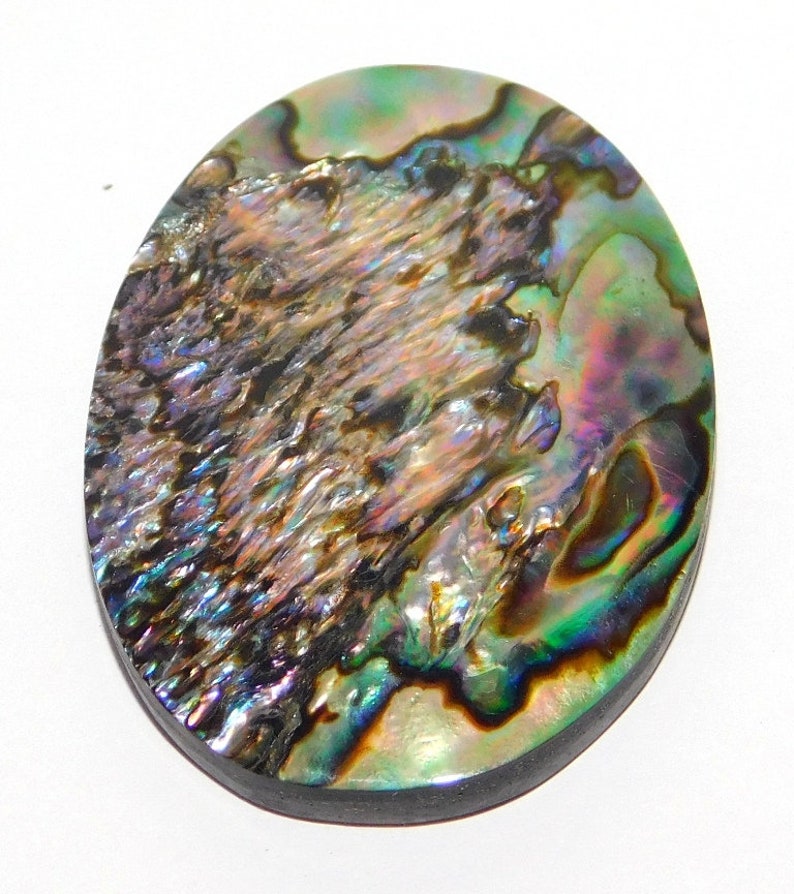 Paua abalone Shell fantastic Oval Pear Fancy Shape Gemstone Natural Paua Shell Loose Gemstones Attractive Paua abalone Shell Cabochon Lot