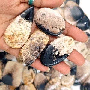 May include: A collection of polished agate cabochons with black and brown patterns. The cabochons are in various shapes and sizes, and are displayed on a hand.