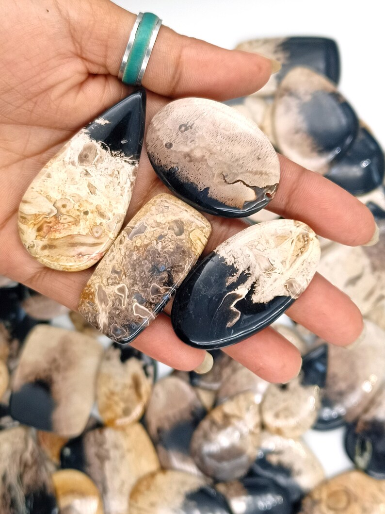 May include: A collection of polished agate cabochons with black and brown patterns. The cabochons are in various shapes and sizes, and are displayed on a hand.