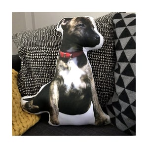Custom Dog pillow Pet Portrait Pillow Personalised pillow Personalized gift Gift for men Home decor Pet gift Photo pillow Stuffed animal New