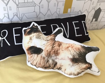 Gepersonaliseerd kussen Gepersonaliseerd kussen Huisdier kussen Gepersonaliseerd cadeau Kattenliefhebber cadeau Thuis Cat Cat Photo Pillow