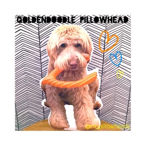 Goldendoodle oreiller pour animaux de compagnie Oreiller personnalisé cadeau personnalisé cadeau pour les femmes décoration cadeau carte