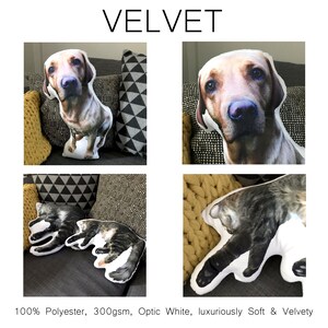 以下が含まれることがあります： 4つのカスタムメイドのペット用枕、犬2匹と猫2匹、100%ポリエステル製、300gsm、光沢のある白、贅沢な柔らかさとベルベットのような質感。枕はソファと椅子の上に置かれています。