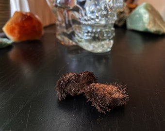 Lodestone, Hechizo, Atracción, Abundancia, Imán, Dibujo, Dinero, Amor y Suerte (2) Piedras Alimentadas